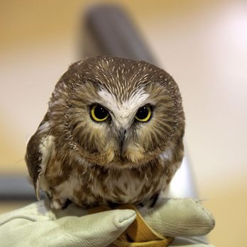 Feed Barn The - We also support Tri County Wildlife Care as a wildlife drop off for critter care. - Fashion Near Me - Jackson, California