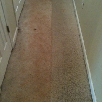 York Services - Carpet Cleaning Near Me York Services - Carpet Cleaning Near Me