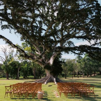 Events by Shelby K - Wedding Planning Near Me Events by Shelby K - Wedding Planning Near Me