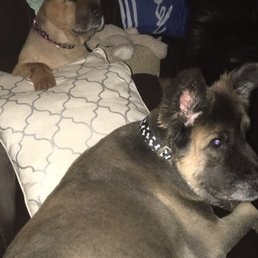 Zeus and Maggie Zeus and Maggie