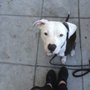 Photo of What's Up Dog?