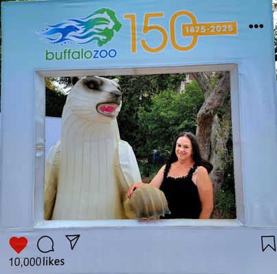 The Buffalo Zoo by null