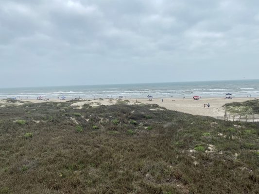 Padre Island National Seashore - Malaquite Visitor Center by null