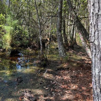 Tibet-Butler Preserve - Parks Near Me - Orlando, Florida Tibet-Butler Preserve - Parks Near Me - Orlando, Florida