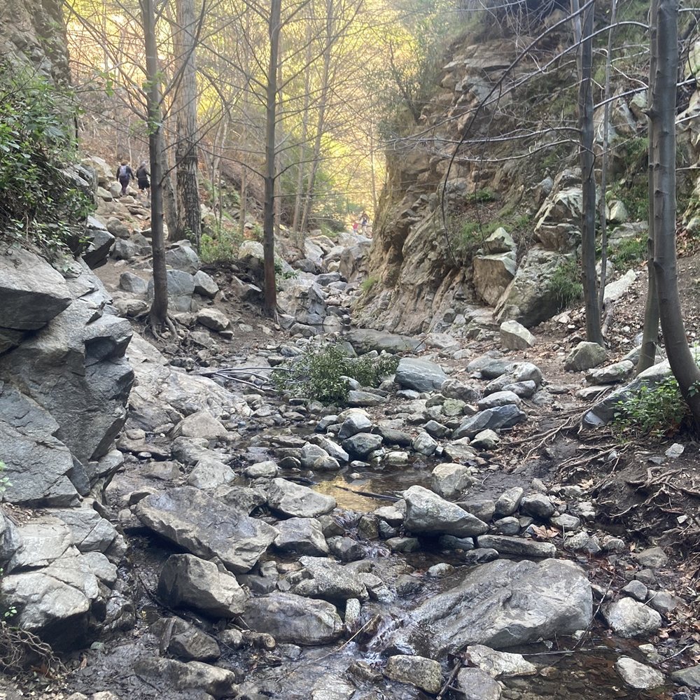 Millard Canyon - This is the walk to the falls - Parks Near Me - Altadena, California Millard Canyon - This is the walk to the falls - Parks Near Me - Altadena, California