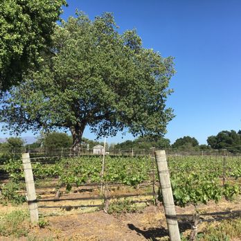 Roblar Winery - Wineries Near Me - Santa Ynez, California Roblar Winery - Wineries Near Me - Santa Ynez, California