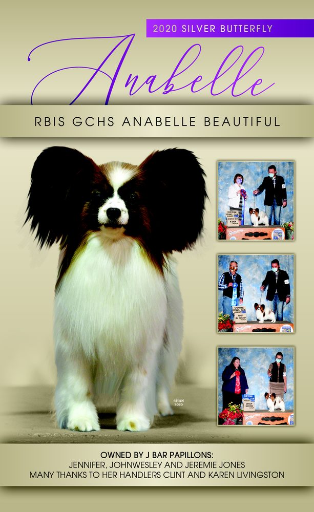 J BAR PAPILLONS Updated October 2024 Request Information 11