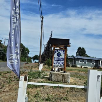 Nappe Blueberry Farms - Pick Your Own Farms Near Me - Boring, Oregon Nappe Blueberry Farms - Pick Your Own Farms Near Me - Boring, Oregon