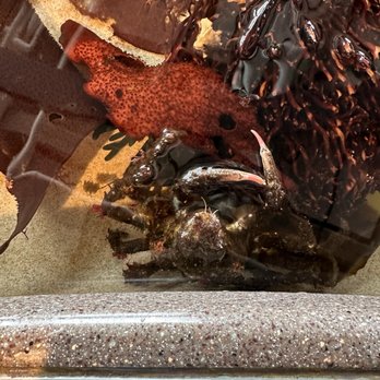 Monterey Bay Aquarium - Touch pool - Aquariums Near Me - Monterey, California