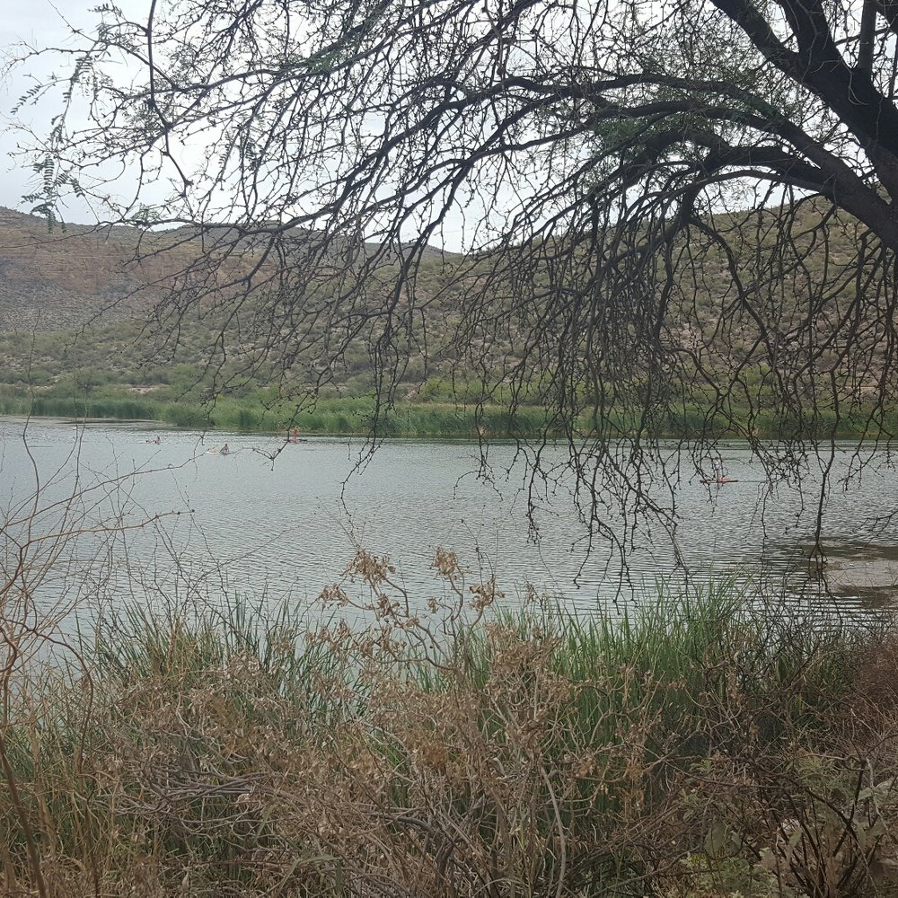 Tonto National Forest - Parks Near Me Tonto National Forest - Parks Near Me