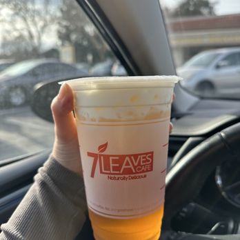 7 Leaves Cafe - Sea Cream Jasmine Tea - Coffee & Tea Near Me - San Jose, California 7 Leaves Cafe - Sea Cream Jasmine Tea - Coffee & Tea Near Me - San Jose, California