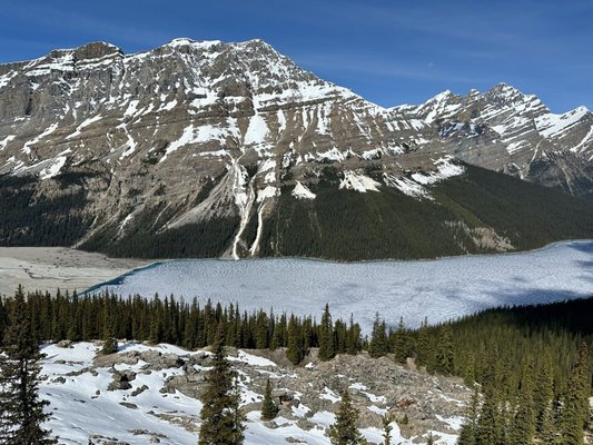 Jasper National Park by null