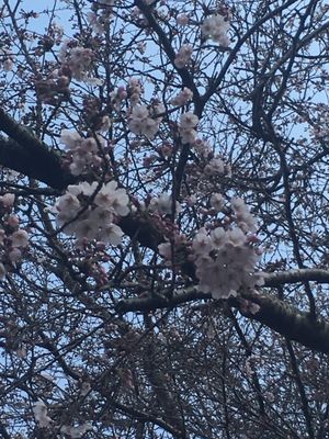 Narita Yume Bokujō 37 Photos Pick Your Own Farms 名木730 成田市 千葉県 Japan Phone Number Yelp