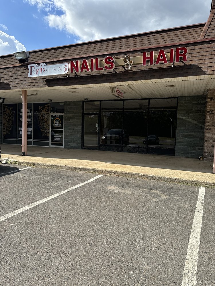Princess Nails & Hair Logo