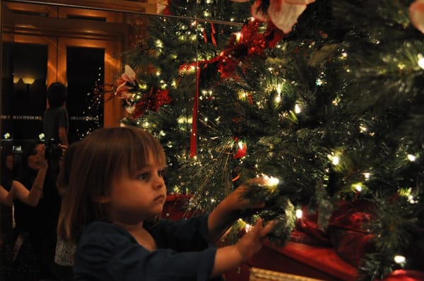 Park Hyatt Aviara Resort, Golf Club & Spa by null Park Hyatt Aviara Resort, Golf Club & Spa by null