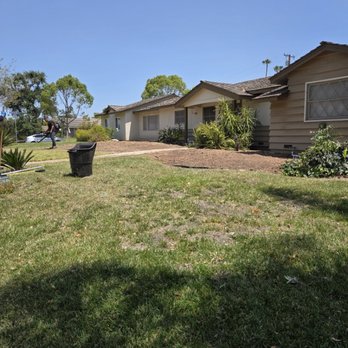 DTS Tree Service - Done - Tree Services Near Me - Buena Park, California DTS Tree Service - Done - Tree Services Near Me - Buena Park, California