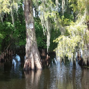 Ultimate Swamp Adventures - Tours Near Me - Westwego, Louisiana Ultimate Swamp Adventures - Tours Near Me - Westwego, Louisiana