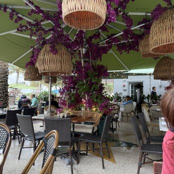 Cafe Americano - Beautiful patio area - Breakfast & Brunch Near Me - Miami Beach, Florida Cafe Americano - Beautiful patio area - Breakfast & Brunch Near Me - Miami Beach, Florida