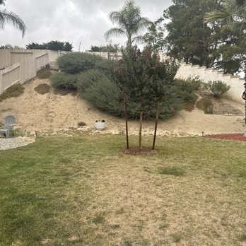 Moon Valley Nurseries - Myrtle tree - Nurseries & Gardening Near Me - Murrieta, California Moon Valley Nurseries - Myrtle tree - Nurseries & Gardening Near Me - Murrieta, California