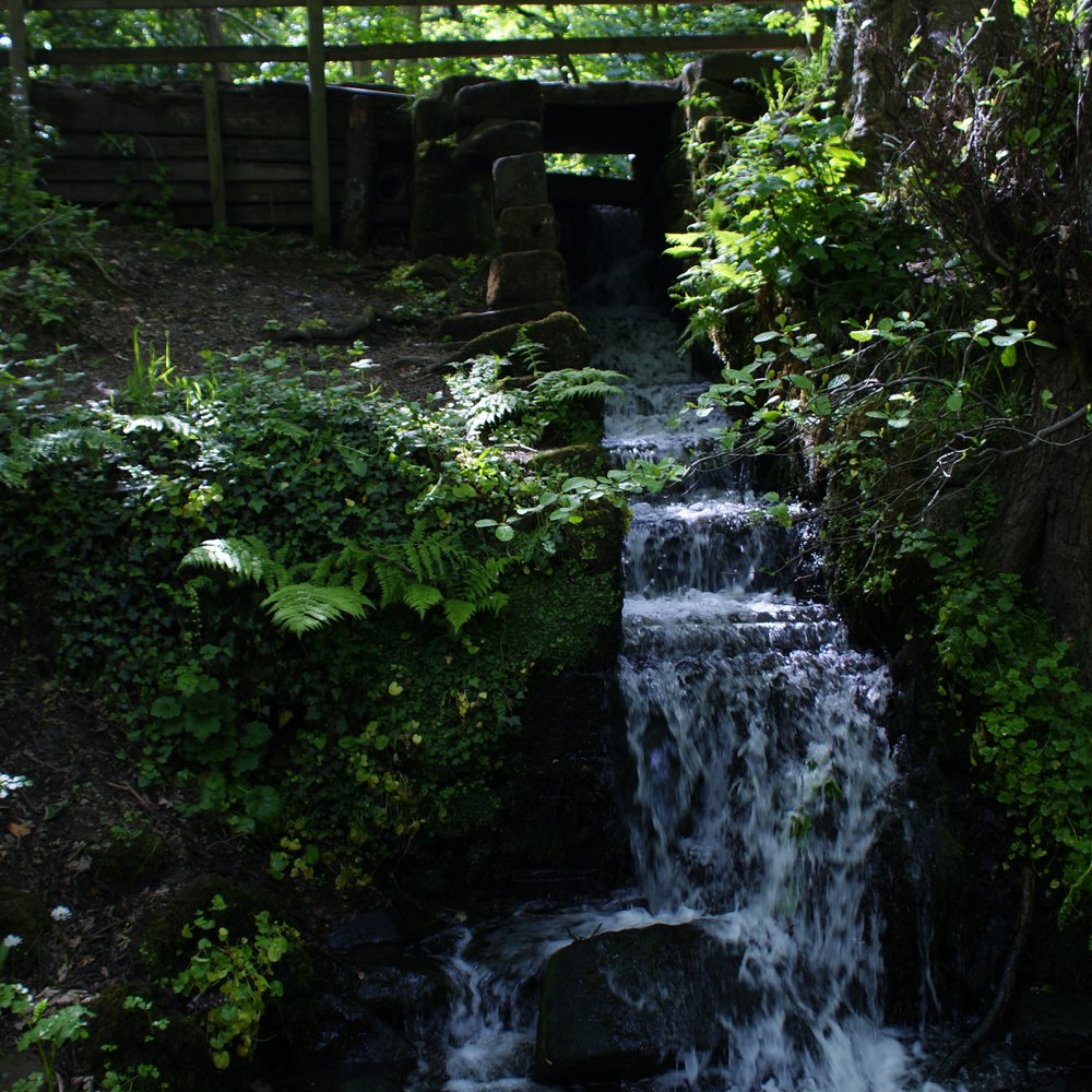 Meanwood Valley Trail - Parks Near Me - Leeds, XWY