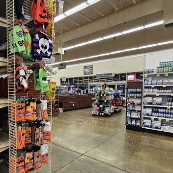 Safeway - 8/28/2024 - Halloween is coming!! - Grocery Near Me - Wilsonville, Oregon