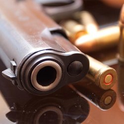 Idaho Arms & Ammo