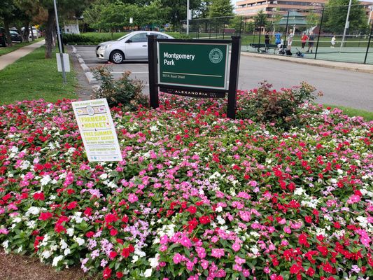 Montgomery Park by null