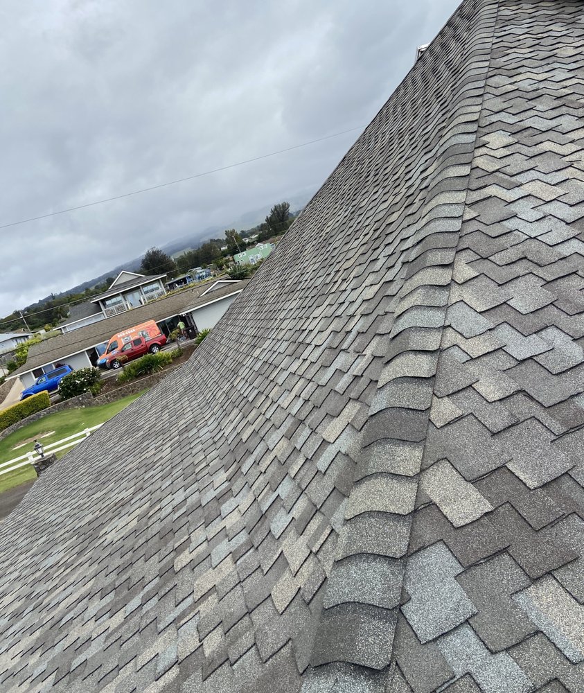 Slide of Bang Um Out Services