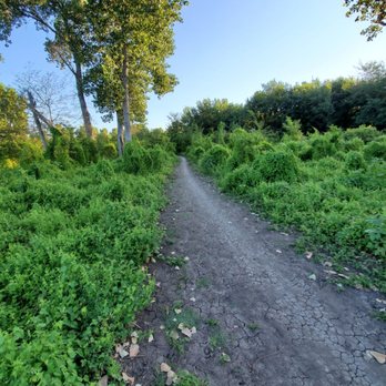 Northshore Mountain Biking Trails - Straight away path - Mountain Biking Near Me - Grapevine, Texas