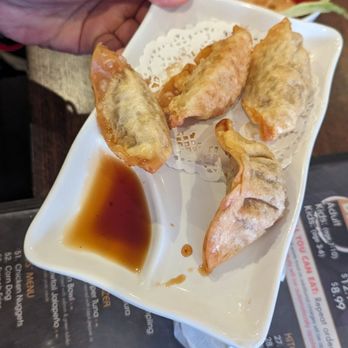 Sushi Kola - 17. Beef Gyoza Dumpling - Sushi Bars Near Me - Fredericksburg, Virginia