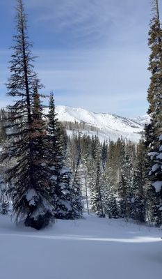 Powder Mountain by null