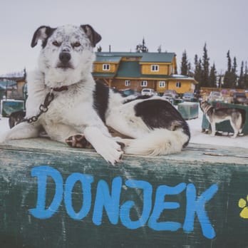 Muktuk Adventures - Yukon 2015 - Hiking Near Me - Whitehorse, Yukon Muktuk Adventures - Yukon 2015 - Hiking Near Me - Whitehorse, Yukon
