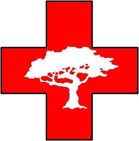 Tree Medics - tree service in Tampa, FL