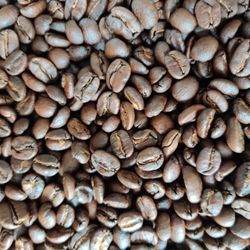 CrowBeard - Beautifully roasted