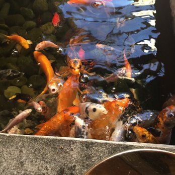 Grace's Mandarin - Asian Fusion Near Me - Oxon Hill, Maryland