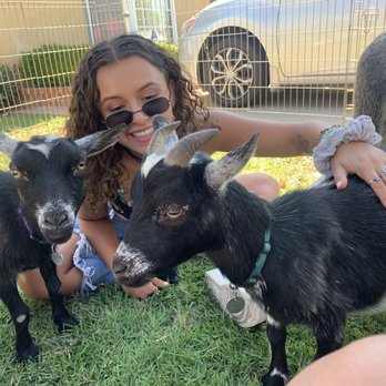 Reptacular Animals - Party & Event Planning Near Me - Sun Valley, California Reptacular Animals - Party & Event Planning Near Me - Sun Valley, California