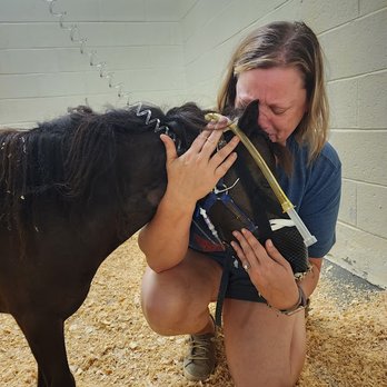 Ward Veterinary Services - the last time I saw Percy with a heartbeat - Veterinarians Near Me - Tupelo, Mississippi Ward Veterinary Services - the last time I saw Percy with a heartbeat - Veterinarians Near Me - Tupelo, Mississippi