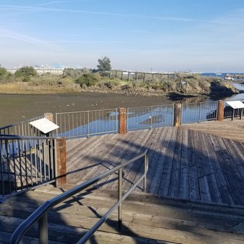 Salinas de San Pedro Salt Marsh - Main viewing deck - Parks Near Me - Los Angeles, California Salinas de San Pedro Salt Marsh - Main viewing deck - Parks Near Me - Los Angeles, California