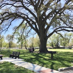Large trees shade tables and benches.