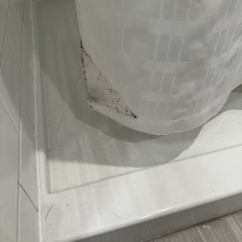Flamingo Las Vegas - Mold on shower curtain. And dirt all in corner on floor. - Hotels Near Me - Las Vegas, Nevada