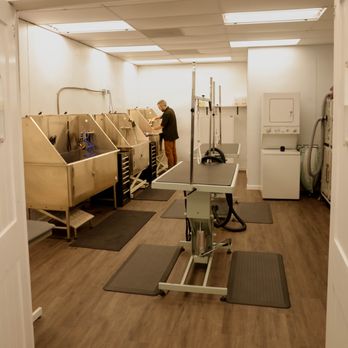 Dapper Doggery - Pet Groomers Near Me - Poway, California