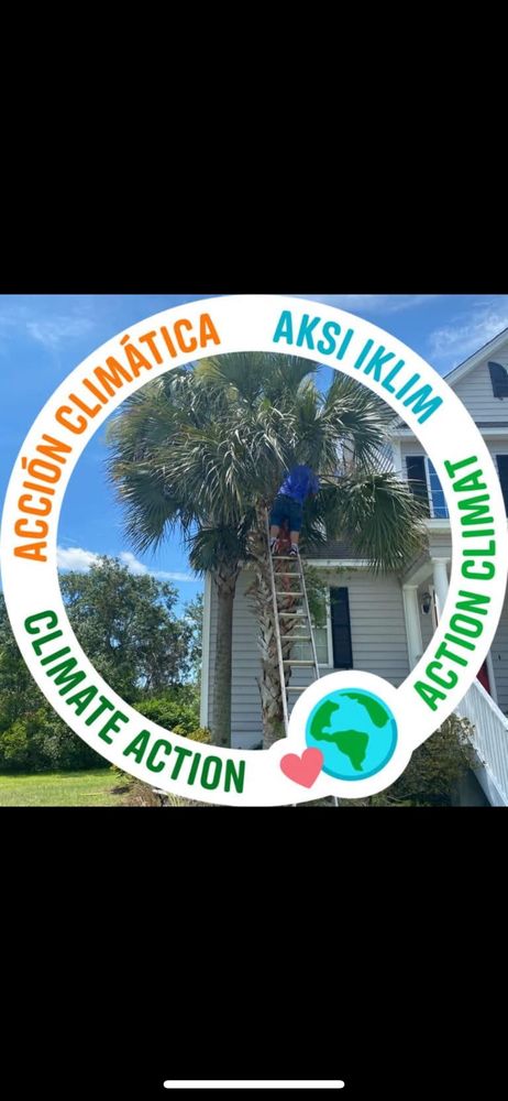 Martinez Landscaping - tree service in Charleston, SC