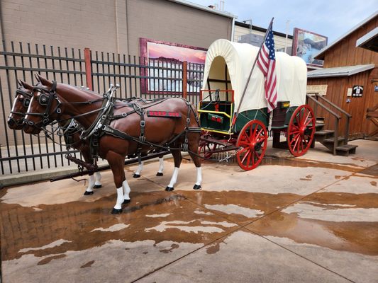 Wall Drug Store by null
