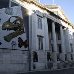 Museu Nacional de História Natural e da Ciência