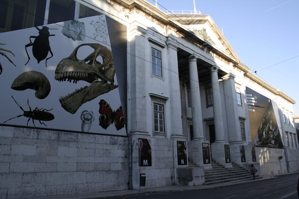 Museu Nacional de História Natural e da Ciência
