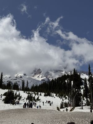Mount Rainier by null