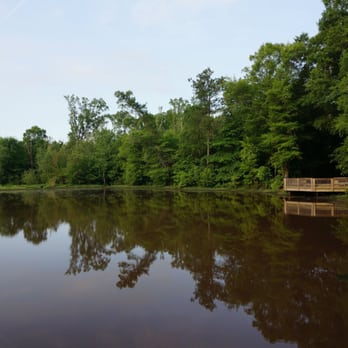 Constitution Lakes Park and Wilderness Area - Parks Near Me - Atlanta, Georgia Constitution Lakes Park and Wilderness Area - Parks Near Me - Atlanta, Georgia