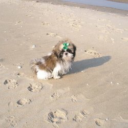Beach Life
