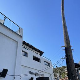 Exterior photo of The Naughty Fox - Avalon, California Exterior photo of The Naughty Fox - Avalon, California