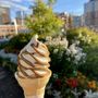 Photo of Moo's Country Ice Cream